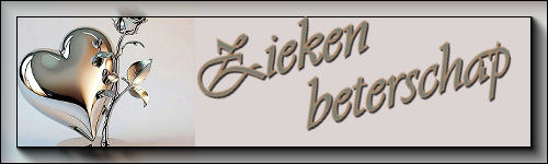 Set-Zilveren+hart-b…